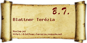 Blattner Terézia névjegykártya